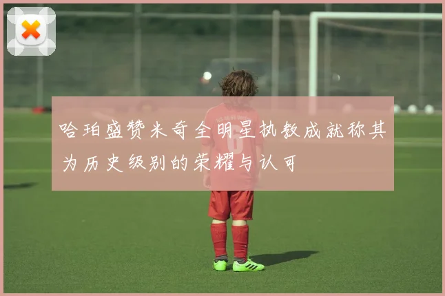 哈珀盛赞米奇全明星执教成就称其为历史级别的荣耀与认可