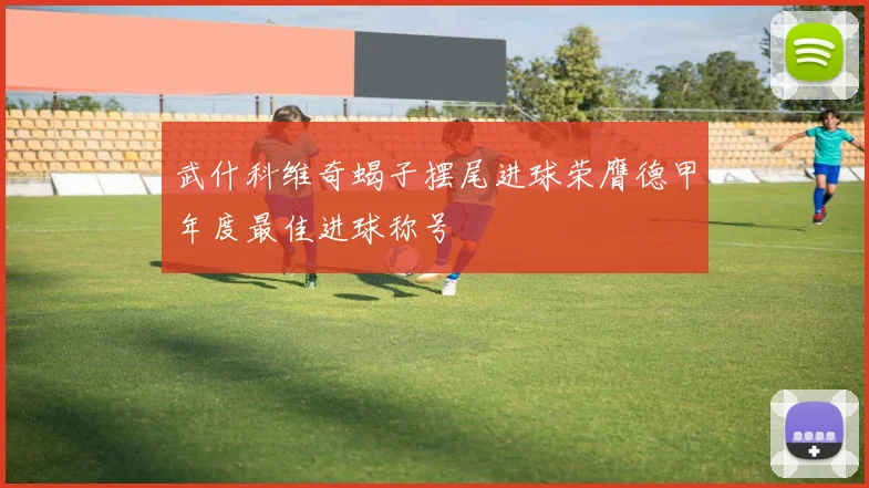 武什科维奇蝎子摆尾进球荣膺德甲年度最佳进球称号